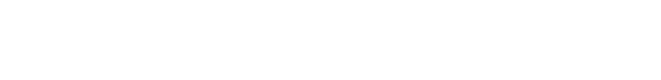 TravelNextLevel logo